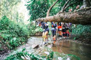 BIB: 
                            <button type="button" onclick="openModal(25516842)" class="btn btn-primary btn-sm float-right btn-popup" data-toggle="modal" data-target=".modal-high-quality">
                        <i class="fas fa-shopping-cart"></i> Add to Cart
                    </button>
                                            <button type="button" onclick="isThisMe(25516842, true)" class="btn btn-success btn-sm float-right btn-popup btn-isme hidden" data-toggle="tooltip" data-placement="bottom" title="นี่คือรูปของคุณใช่ไหม คลิกที่นี่เพื่อเอาเข้าอัลบั้ม">
                        <i class="fas fa-plus"></i> Add to album
                    </button>
                    <button type="button" onclick="isThisMe(25516842, false)" class="btn btn-warning btn-sm float-right btn-popup btn-isnotme hidden">
                        <i class="fas fa-ban"></i> Remove from album
                    </button>